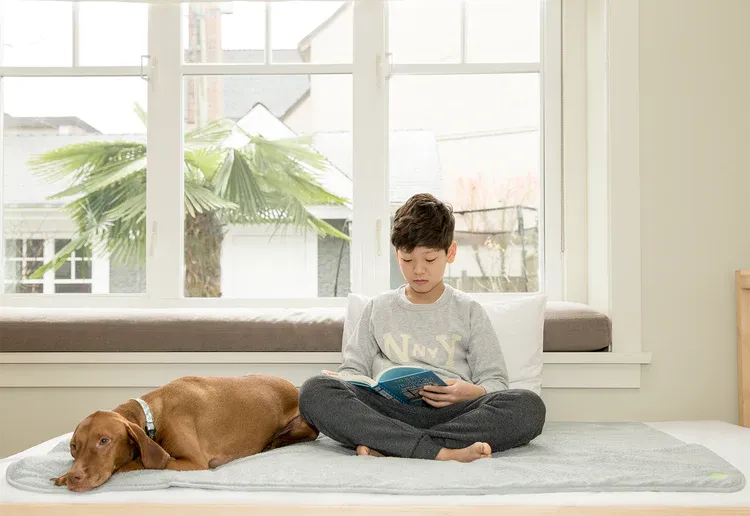PeapodMats Waterproof Bedwetting & Incontinence Mats For Dogs & Cats